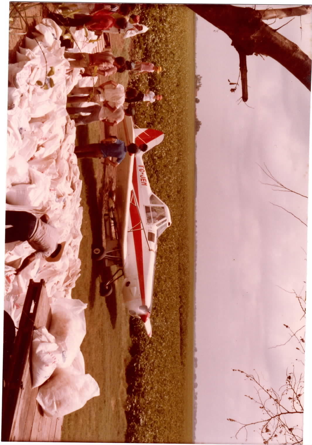 Palo Blanco history